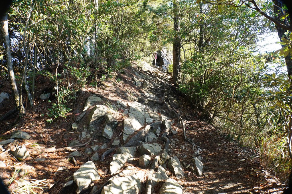 台中 和平 鳶嘴山_2926852