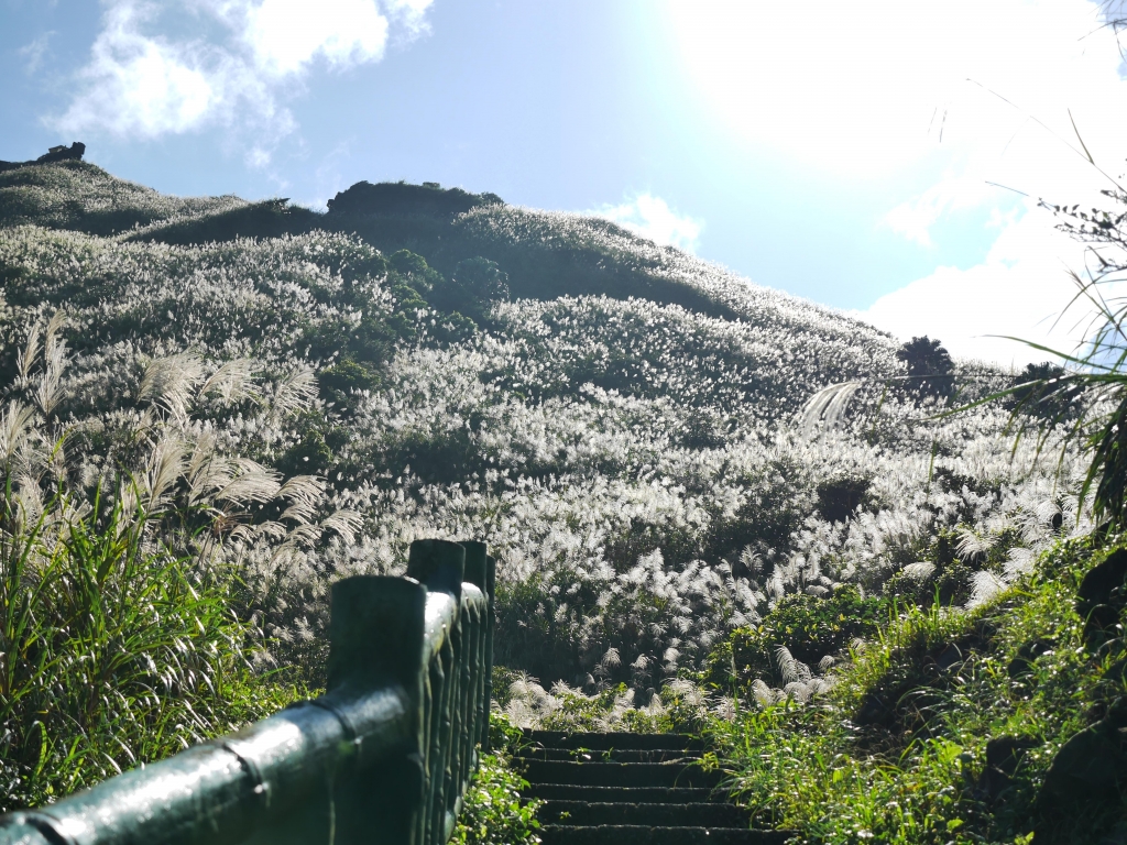 20141122_無耳茶壺山 半屏山 燦光寮O型_3134