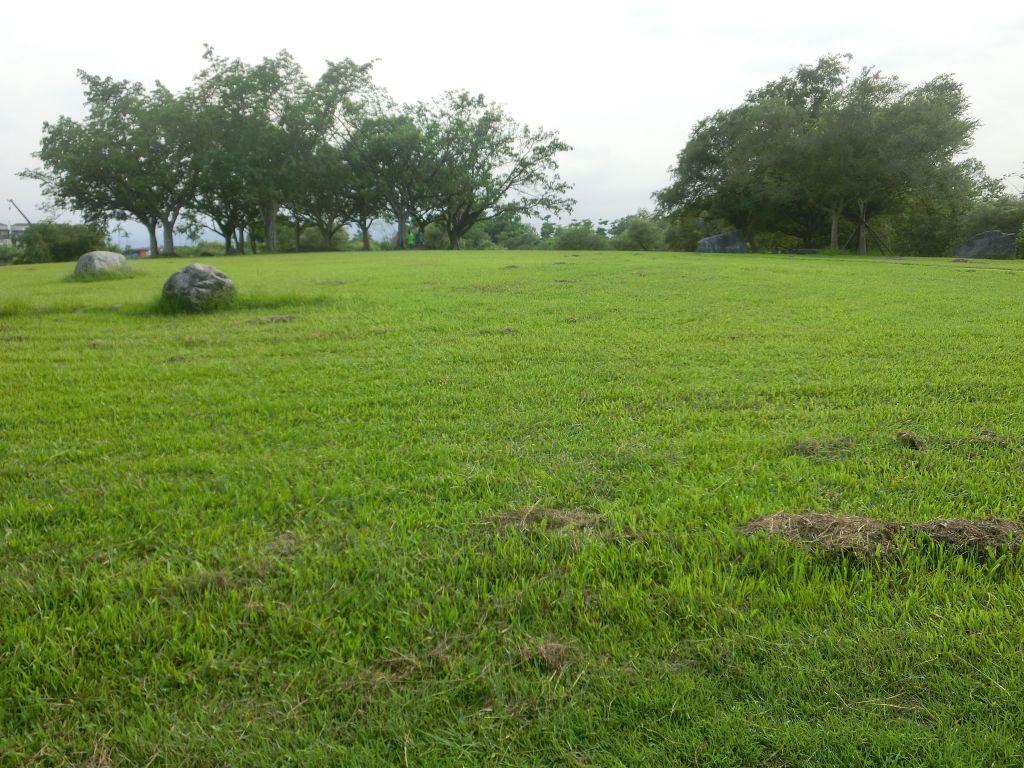 羅東運動公園_374235