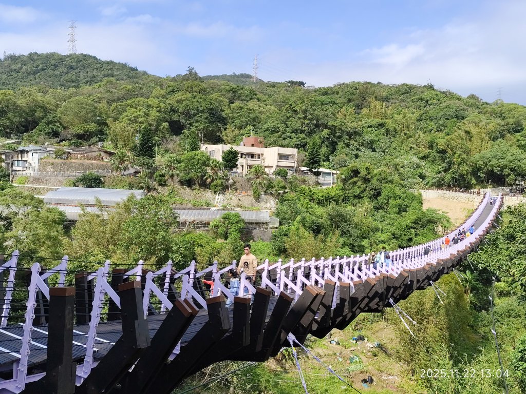 內湖碧山巖、白石湖吊橋_2942803