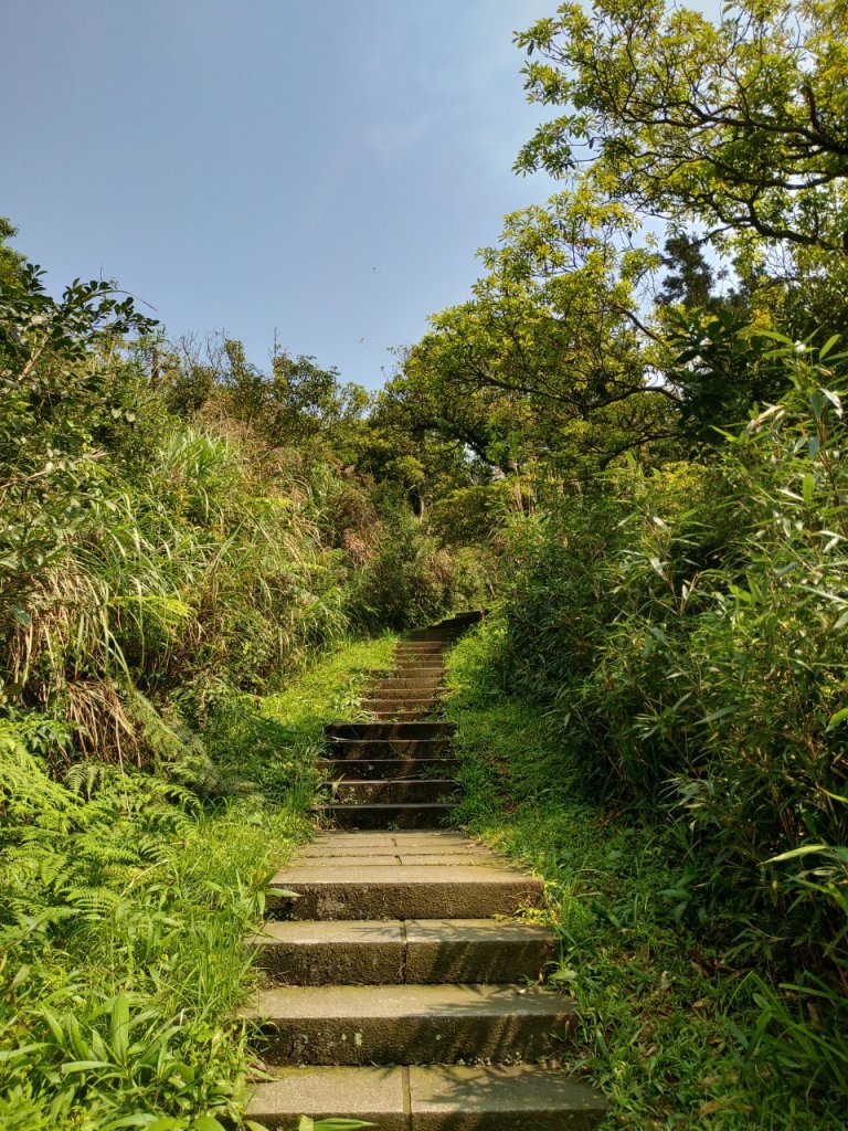 台灣萬里長城－五分山步道_934062