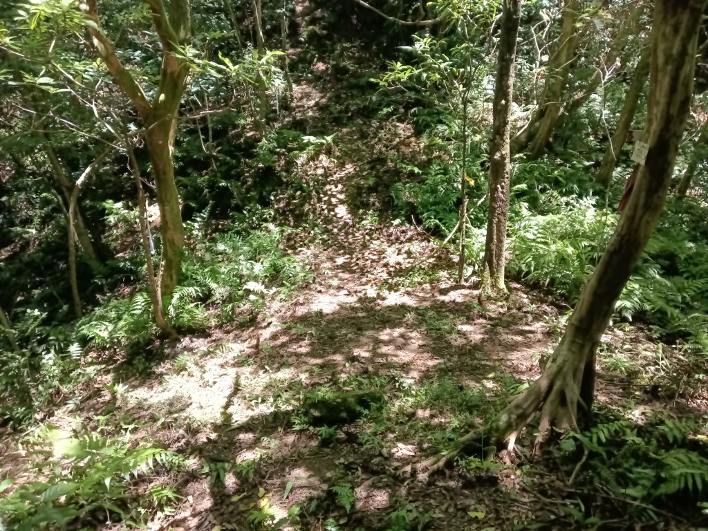 平溪區平湖尖+南山坪山+司公碗帽山+和尚尖O型_2810761