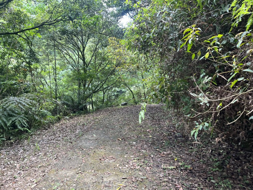 [淡蘭古道] 2024_0622 中路第五段-灣潭古道_2533947