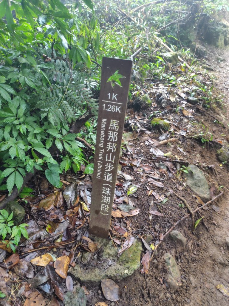 馬那邦山_2974988