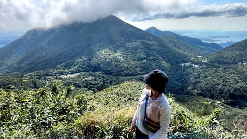 【中級山】台北版抹茶山竟然有免申請路線，小觀音山西峰單攻，順遊頂湖海芋步道，竹子湖黑森林_2742401