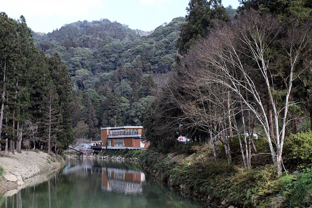 杉林溪賞花_872545