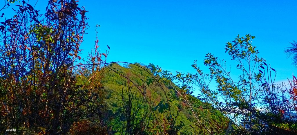 111.12.18 虎山-加里山-虎山（虎加虎縱走）_1959012