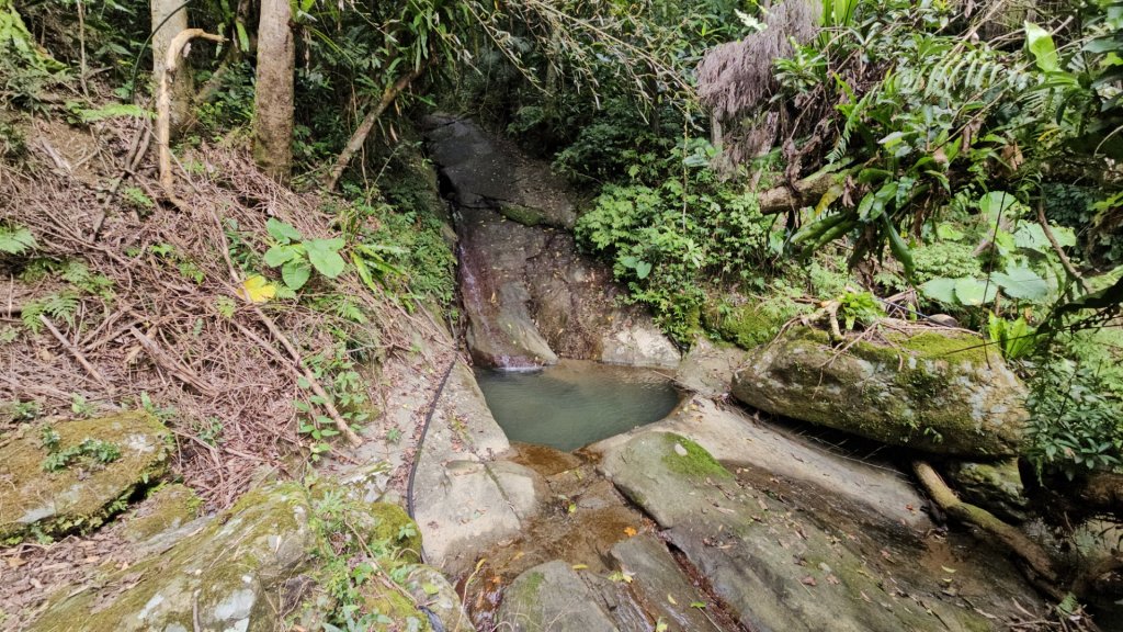 20260112月扇湖山&四分子古道O走+烏塗溪步道_2986625