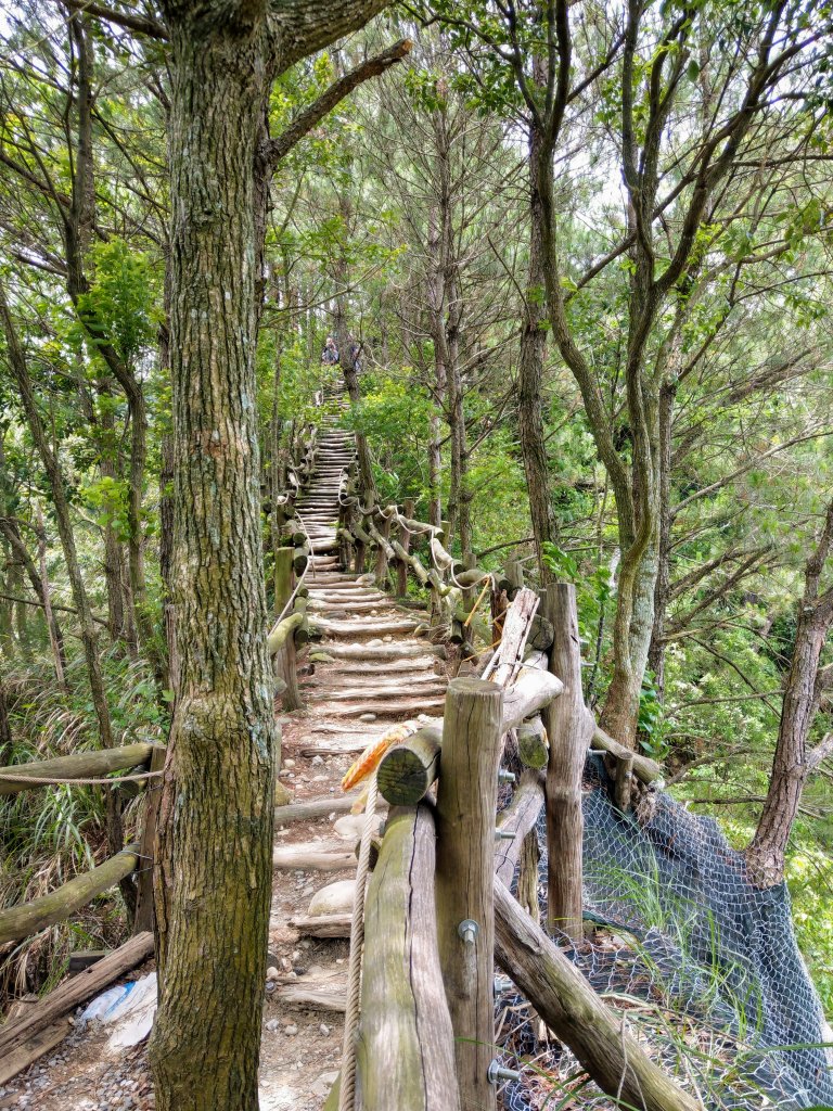 頭嵙山(小百岳#41)大坑4,5,1步道_1003679