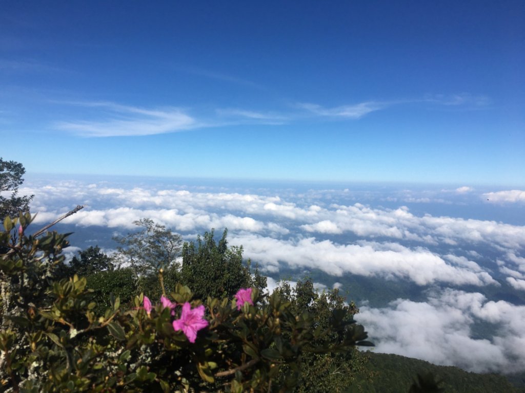 加里山封面圖