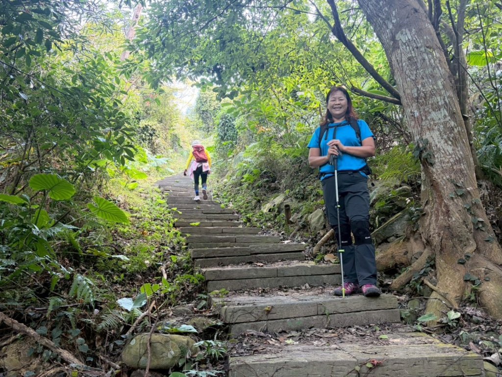 苗栗出磺坑古道、銅纙坑菊_2951585
