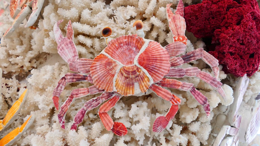 北海岸。良率_2783458