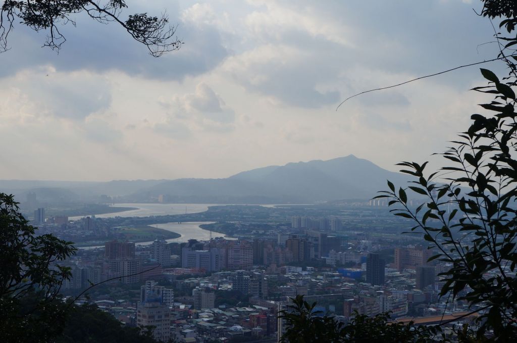 劍潭山步道_196399