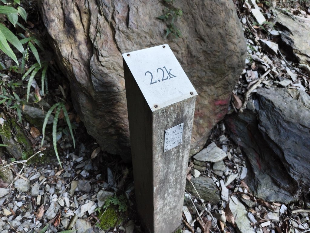 [玉山尋寶任務-07/12] 2025_0824 八通關雲龍瀑布步道_2870526