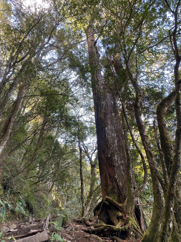 1120106八仙山_2652289