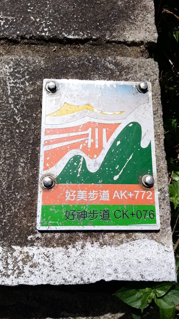 230227-迎來連假北上漫遊小百岳#009 劍潭山+南港山系象山。美美兔忘記出門。_2116383