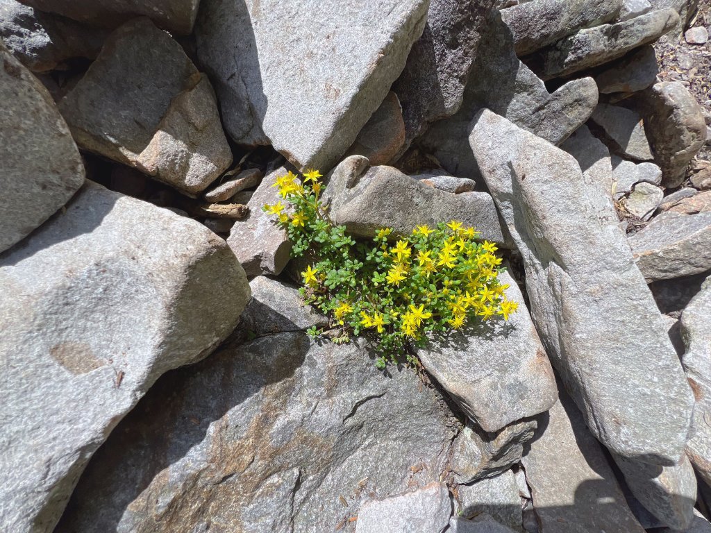 ~ 池 有 山 / 品 田 山 ~_2854066
