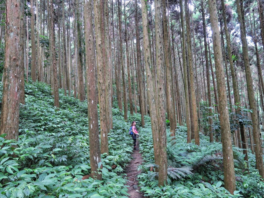 向天湖山、光天高山、三角湖山O繞_1725080