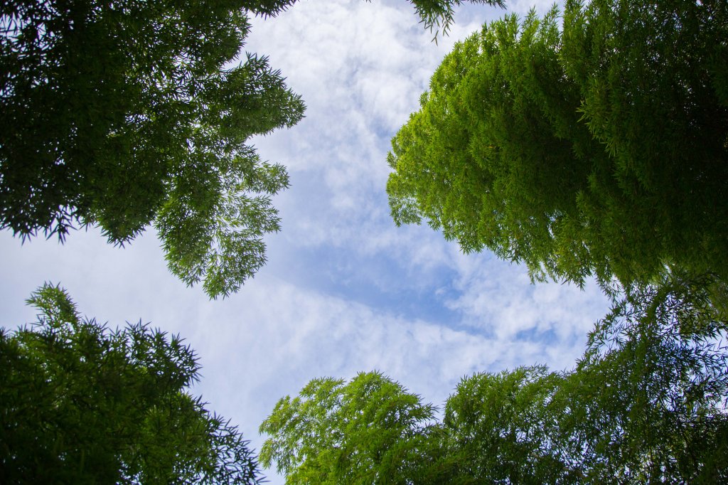 步道巡訪員 l 四大天王山步道第11巡～_1177761