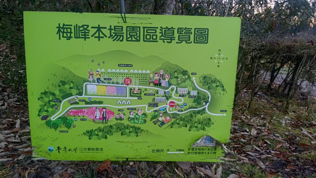 梅峰山地農場立鷹山_2749392