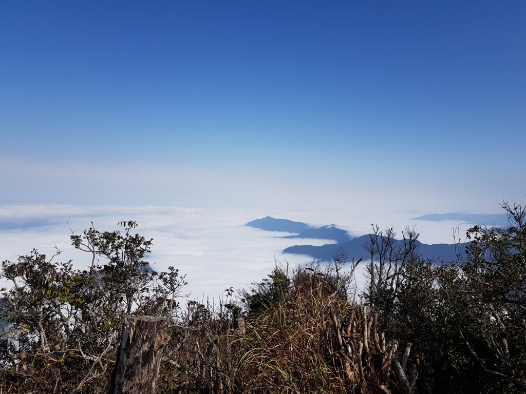 加里山封面圖