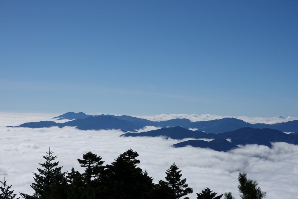 阿興阿賢嘉明湖向陽山三叉山_803352