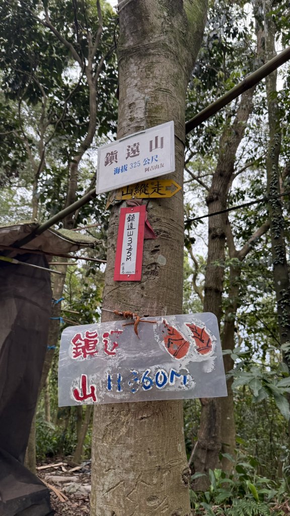 20260111微笑山線：【大棟山系】405高地段+百年大榕樹段_2982892