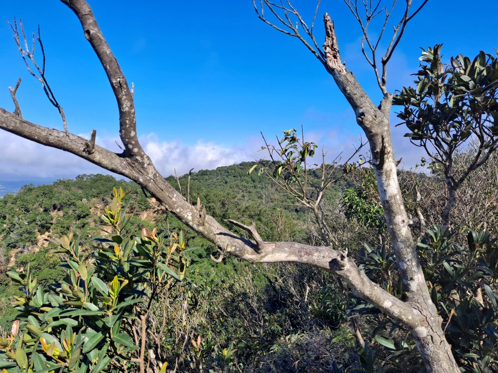 火炎山(親子團)_1965780