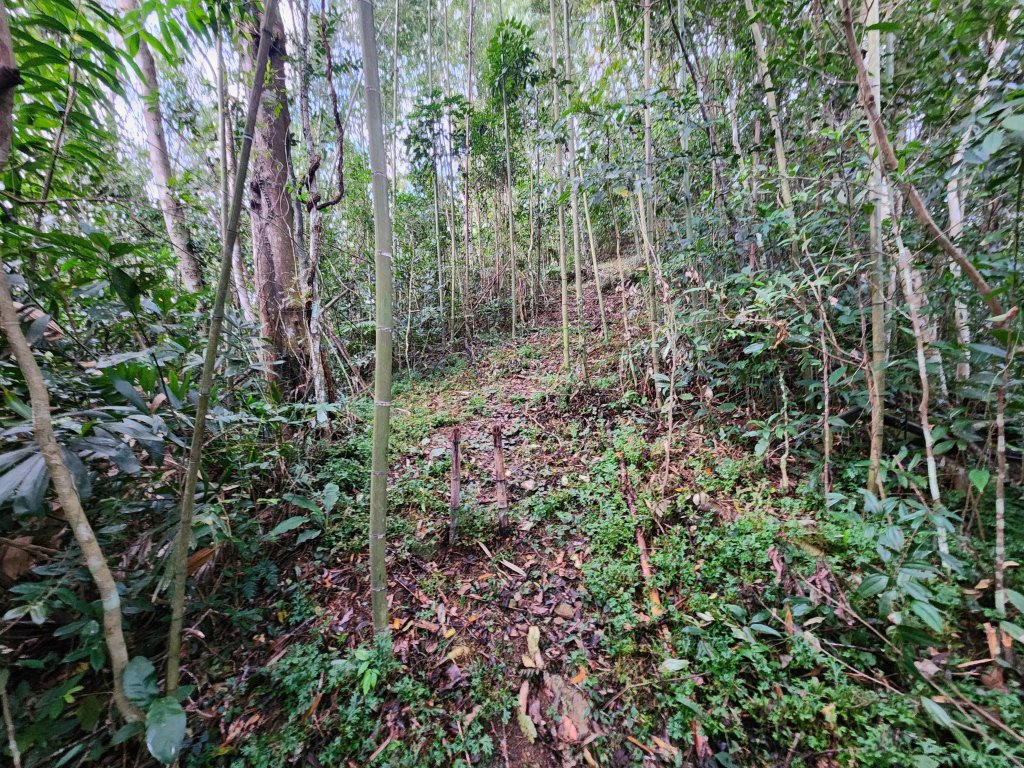 20251214石牛山柑坪山新柑坪山牛背岩_2972719