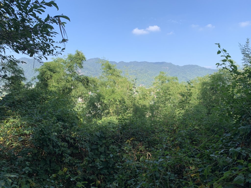 20251122高雄竹山口山封面圖