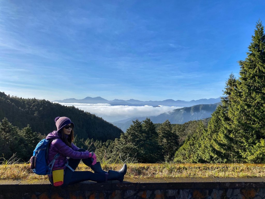 漫步在雲端台灣山毛櫸步道_736574