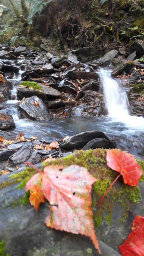 楓之谷~天巒池~武法奈尾山_497525