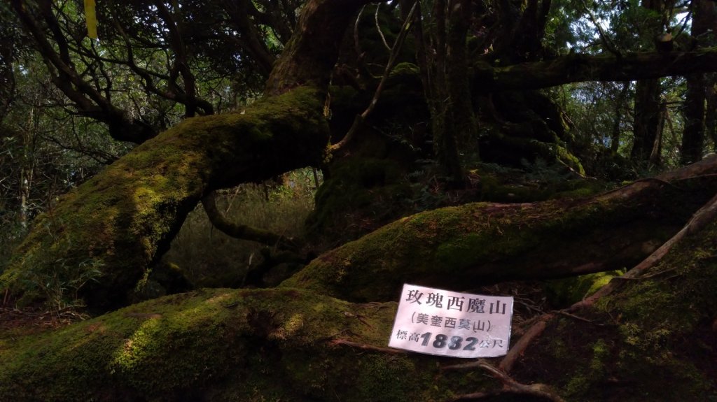 塔魔巴縱走_871349