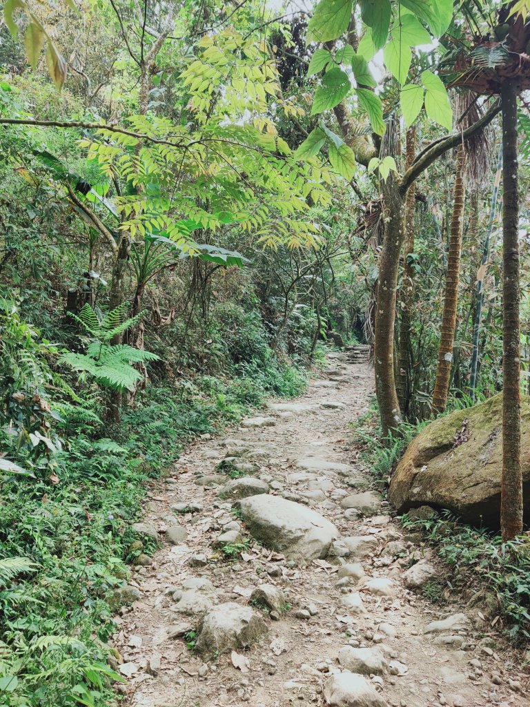 關仔嶺大凍山步道_1305782