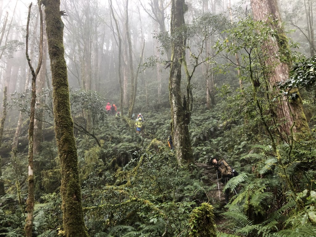 散落的珍珠-加羅湖_565331