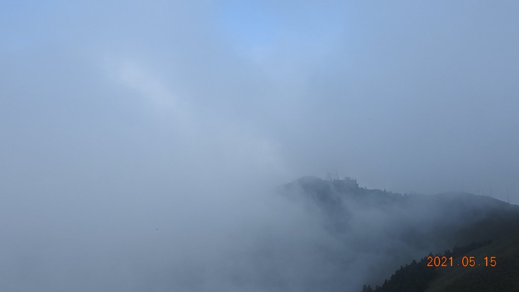 再見觀音圈 - 山頂變幻莫測，雲層帶雲霧飄渺之霧裡看花 & 賞蝶趣_1387537