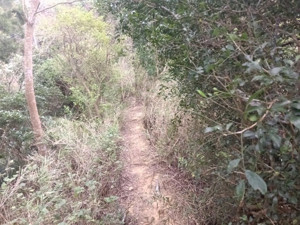 寶山鄉寶山水庫(寶山東峰+中峰+中西峰+西峰+西北峰)+尖山O型_3012504