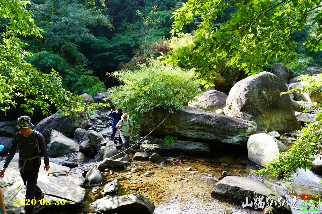 加里山~山貓趴趴走_1084695