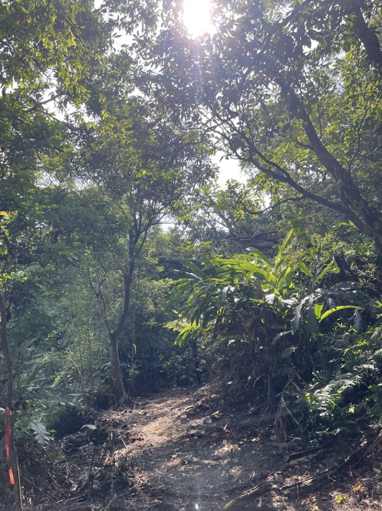 石笋古道O型_2553799