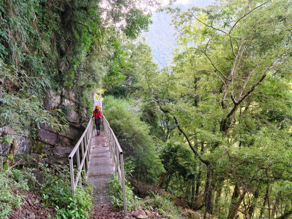 石山引水道 鹿林前山瀑布 鹿林神木_1741133