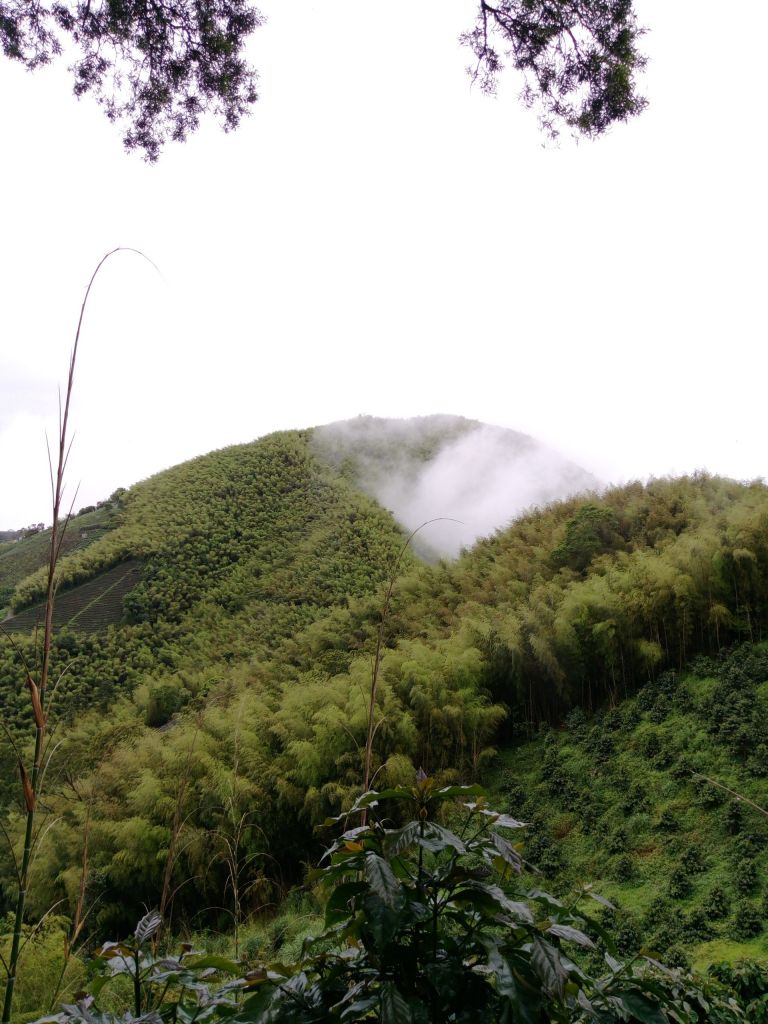 雲嘉大尖山封面圖