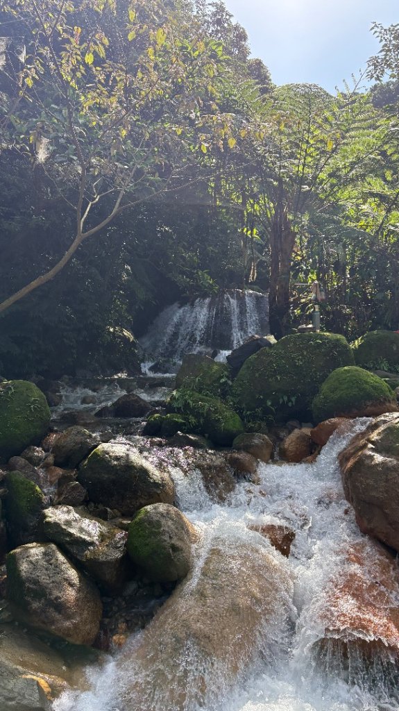漫遊陽明山_2952045