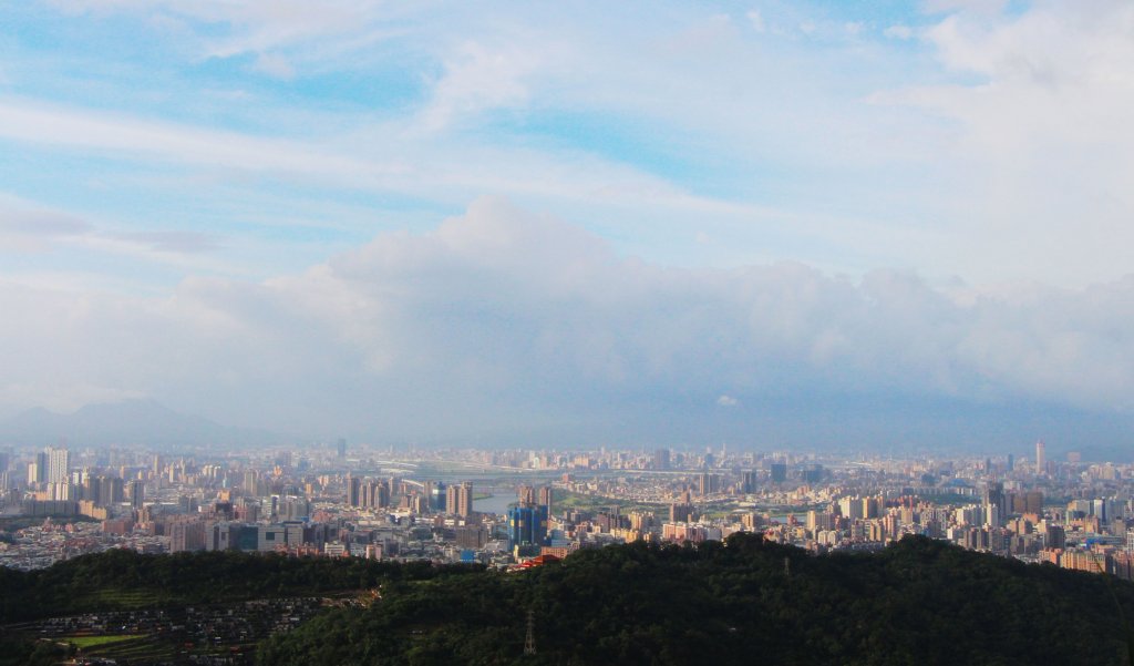 中和步道桐花綻開 , 美不勝收 ! _572777