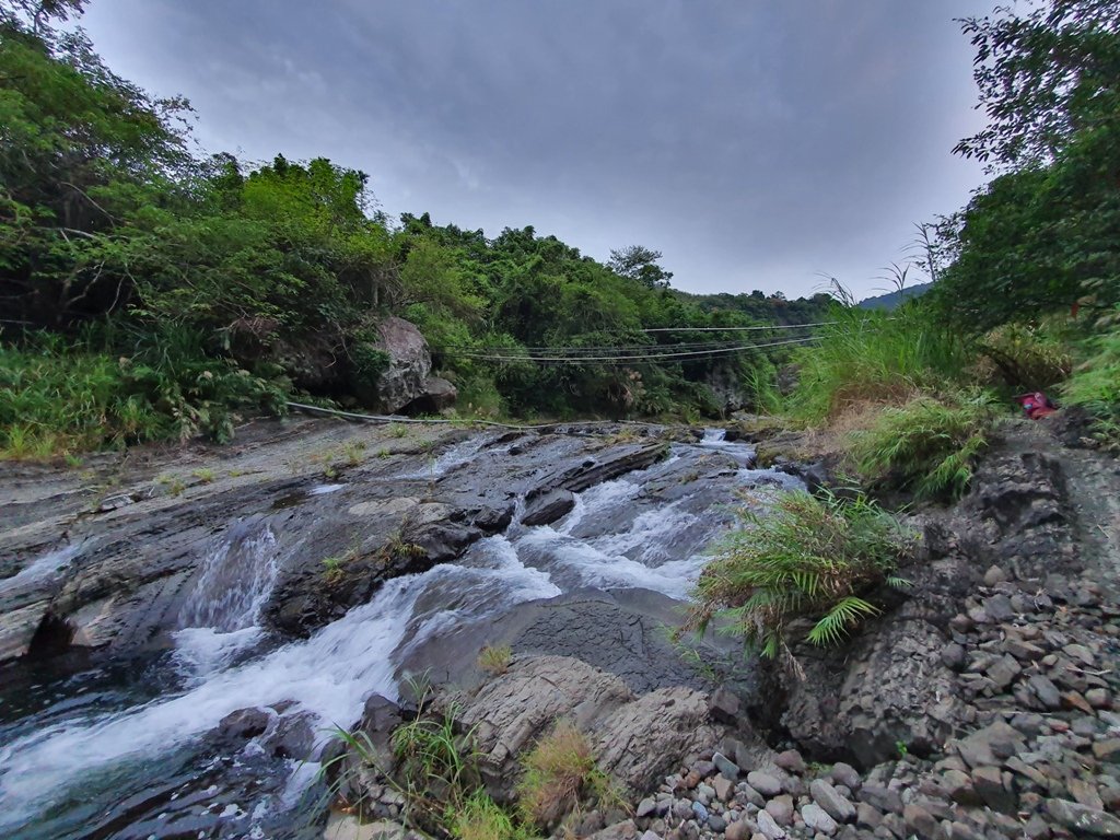 【花蓮富里】 海岸三雄-新港山我來了~_1146199