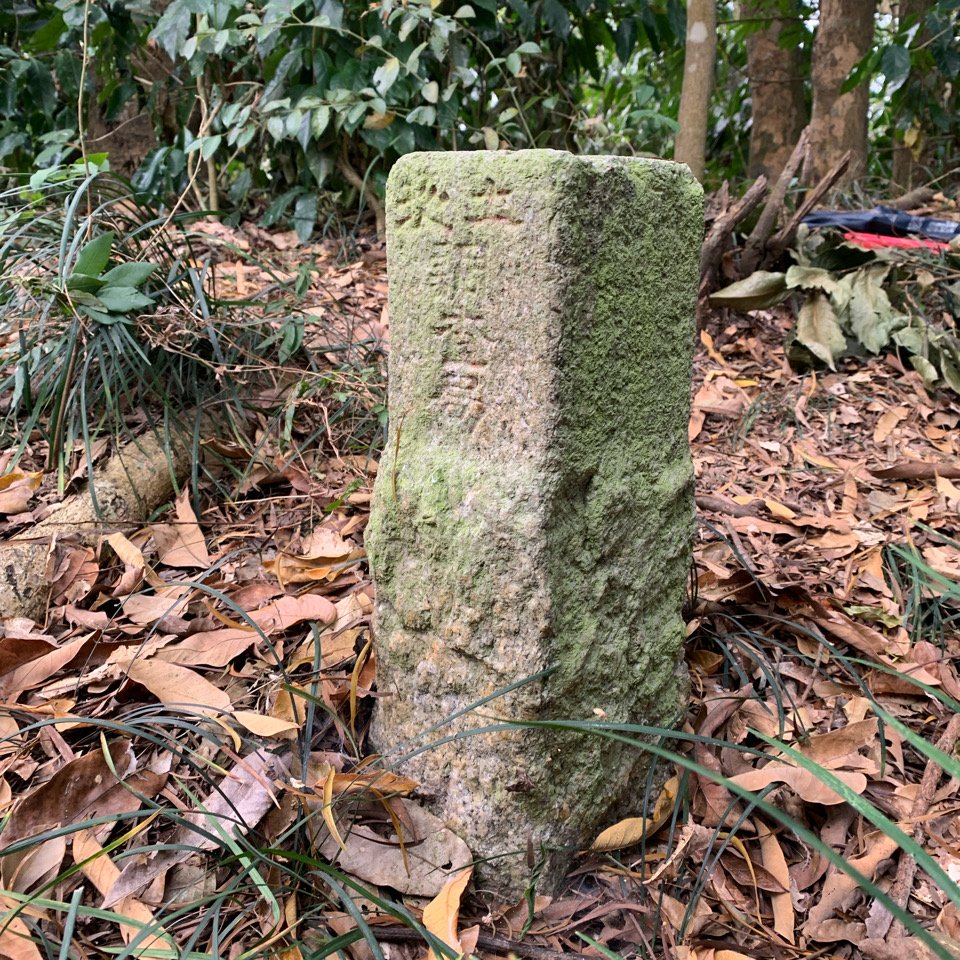 20250404屏東北獅子頭山-霧里乙山_2757389