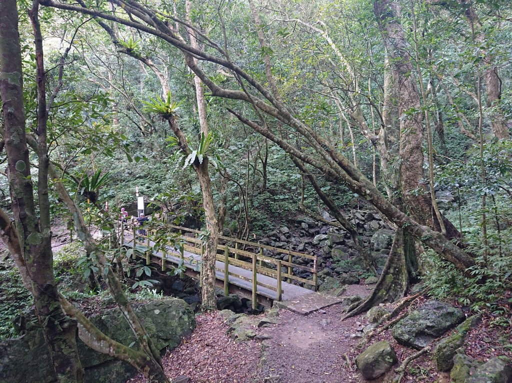 滿月圓-東滿步道_1293498