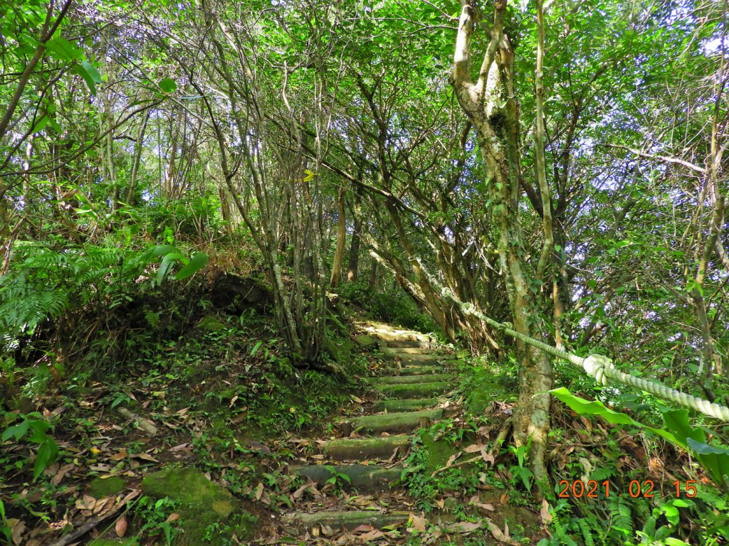 新北 雙溪 上內平林山、下內平林山_1273159