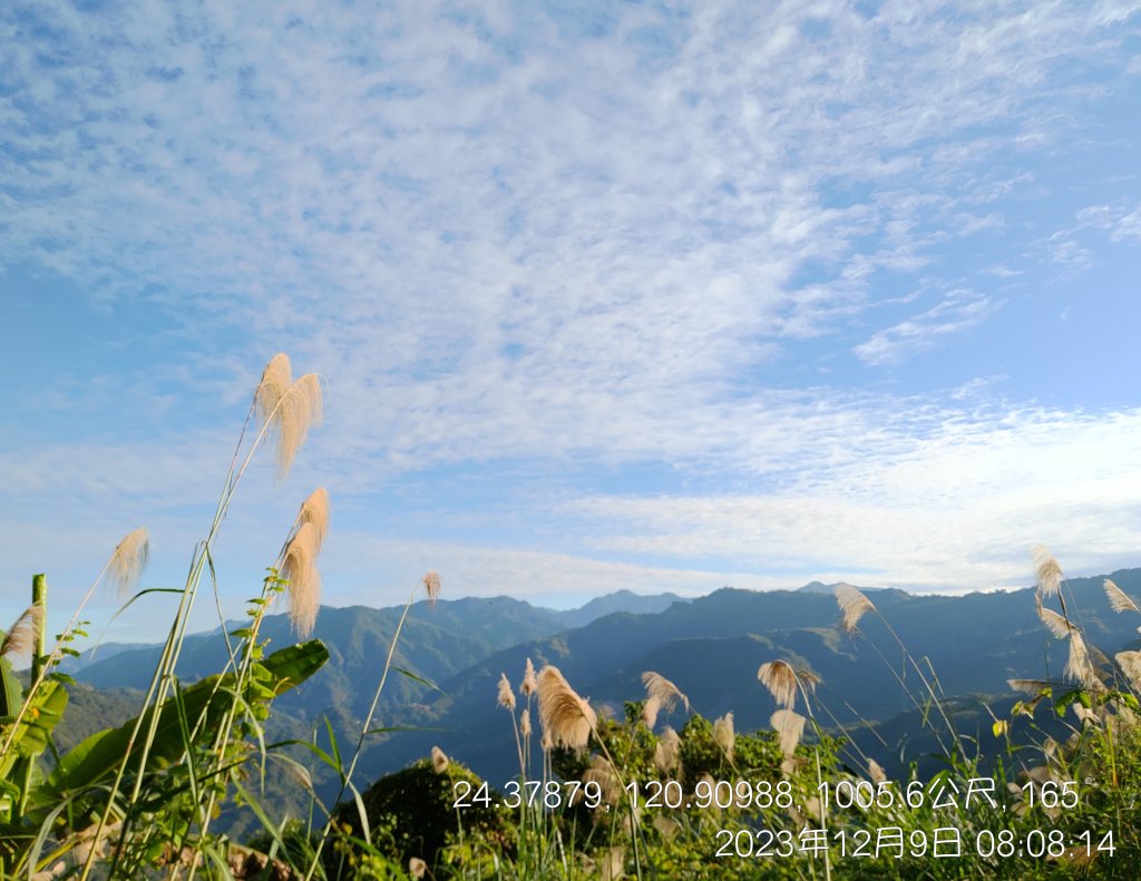 20231209_馬那邦山_2374535