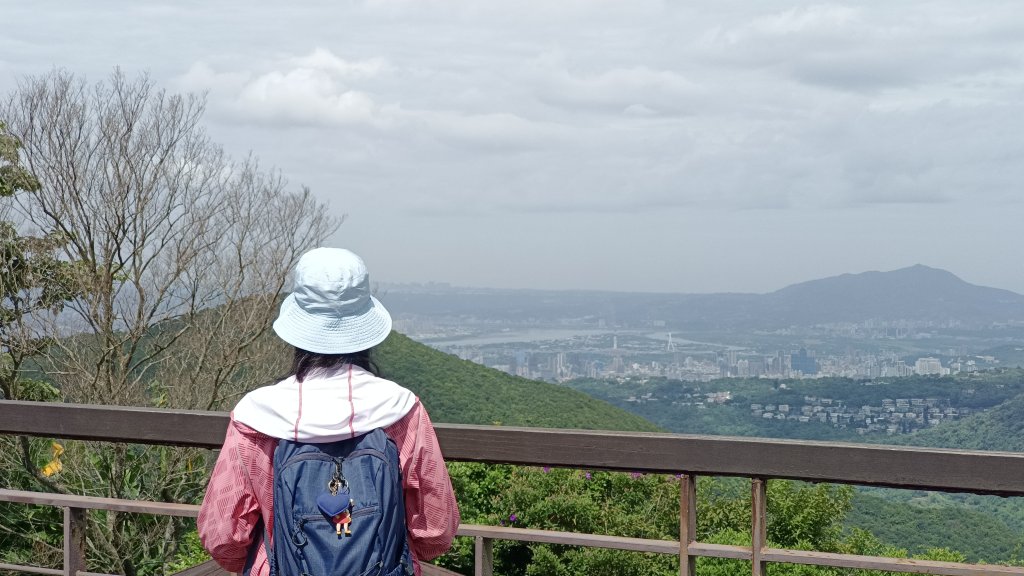 (姨婆趴趴走)第五十五集:攀登健走台北大崙頭尾山親山步道環狀一圈_2853745