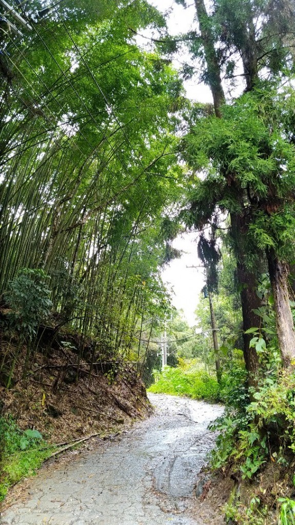 杜仔湖雙子山_240358